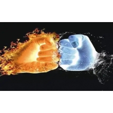 【半年報來了】 與 “粵” 齊飛，大有可為！